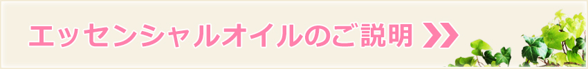 エッセンシャルオイルのご説明